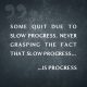 Some Quit Due To Slow Progress. Never Grasping The Fact That Slow Progress is Progress